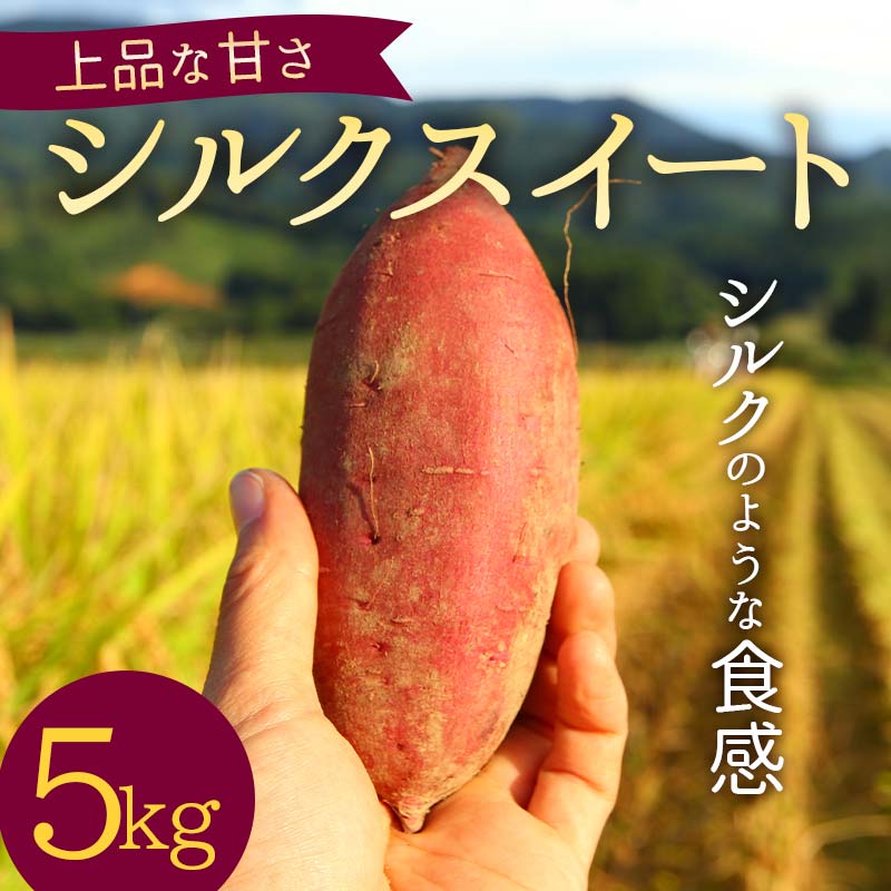 【ふるさと納税】 上品な甘さの【シルクスイート】5kg （栽培期間中、農薬、化学肥料不使用） さつまいも サツマイモ 芋 F3S-1999