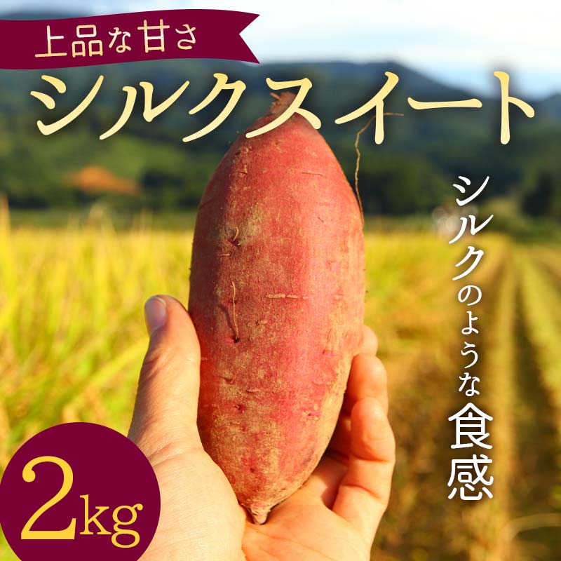 【ふるさと納税】 上品な甘さの【シルクスイート】2kg （栽培期間中、農薬、化学肥料不使用） さつまいも サツマイモ 芋 F3S-2000