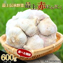 【ふるさと納税】《2025年7月中旬から順次発送》《容量が選べる》 最上伝承野菜【最上赤にんにく】 600g (バラ / 玉) にんにく ニンニク 薬味 ガーリック 野菜 F3S-2002var