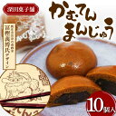 返礼品詳細 名称 【ふるさと納税】 深田菓子舗 かむてんまんじゅう 10個入 和菓子 饅頭 山形県 新庄市 F3S-2047 内容量 10個入 原材料名 パッケージに記載 消費期限 【冷凍保存】製造から30日以内 【解凍後】お早目にお召し上がりください。 アレルギー 小麦 保存方法 冷凍 配送方法 冷凍 製造者 パッケージに記載 提供事業者 株式会社もがみ物産協会 ※注意事項 ※画像はイメージです。 ・ふるさと納税よくある質問はこちら ・寄付申込みのキャンセル、返礼品の変更・返品はできません。あらかじめご了承ください。【ふるさと納税】 深田菓子舗 かむてんまんじゅう 10個入 和菓子 饅頭 山形県 新庄市 F3S-2047 【ふるさと納税】 深田菓子舗 かむてんまんじゅう 10個入 和菓子 饅頭 山形県 新庄市 F3S-2047 新庄市のイメージキャラクター「かむてん」と共に誕生した「かむてんまんじゅう」。 あんこの大吟醸とも言われる「むきあん」と吉野本葛を使用。 しっとりとしたあんを、黒糖入りのモチモチ食感の皮で包んだお饅頭です。 甘すぎず飽きのこない美味しさを、ぜひご賞味ください。 ～かむてんとは～ 新庄市の北東にそびえる神室山は、古来より天狗が住んでいるという伝説があり、民話にも度々天狗が登場します。 民話の里である新庄市では、この神室山に住むという天狗を市のイメージキャラクターに定め、新庄市出身の漫画家冨樫義博（とがしよしひろ）氏にデザインしてもらいました。 ～冨樫 義博（とがし よしひろ）氏について～ 冨樫 義博（とがし よしひろ）氏は新庄市出身の漫画家（兼イラストレーター）です。 代表作として、「HUNTER×HUNTER」、「幽遊白書」、「レベルE」などがあります。 季節のご挨拶 お正月 賀正 新年 新春 初売 年賀 成人式 成人祝 節分 バレンタインデー ホワイトデー ひな祭り 入園祝い 卒園祝い 卒業式 卒業祝い 入学式 入学祝い 就職祝い 昇進祝い 昇格祝い お花見 ゴールデンウィーク GW こどもの日 端午の節句 七夕 初盆 お盆 御中元 お中元 中元 お彼岸 残暑見舞い 敬老の日 寒中お見舞い ハロウィン クリスマス お歳暮 御歳暮 結婚祝い 結婚内祝い 結婚式 引き出物 引出物 出産祝い 快気祝い バースデー 誕生日 ギフト プレゼント 贈り物 贈答