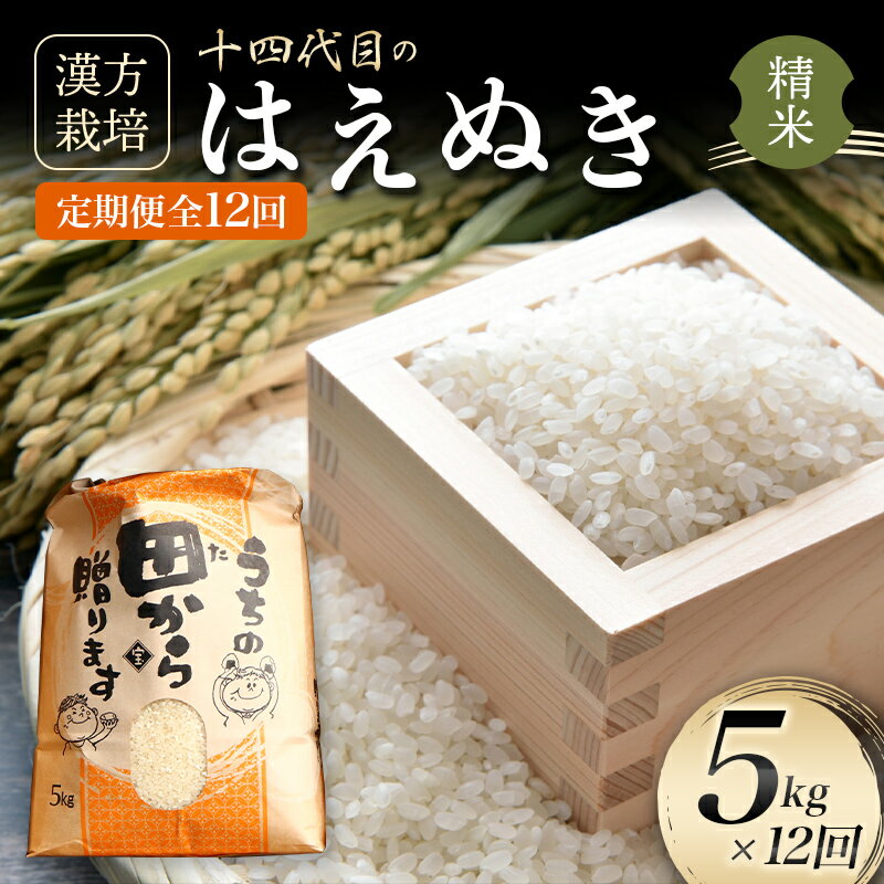 【ふるさと納税】 【定期便】 漢方栽培 十四代目のはえぬき 5kg（精米）全12回 米 お米 おこめ 山形県 新庄市 F3S-2070