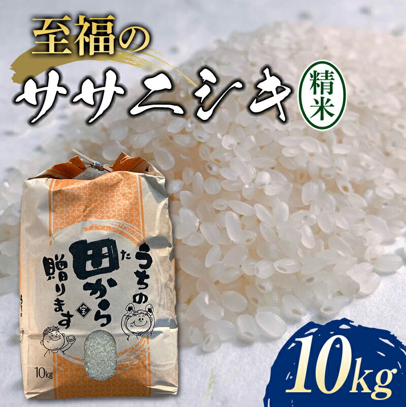 【ふるさと納税】 【先行予約】 令和6年産 至福のササニシキ（精米） 10kg 米 お米 おこめ 山形県 新庄市 F3S-2159のサムネイル