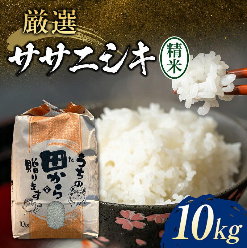 【ふるさと納税】 【先行予約】 令和6年産 厳選ササニシキ 10kg 米 お米 おこめ 山形県 新庄市 F3S-2186のサムネイル