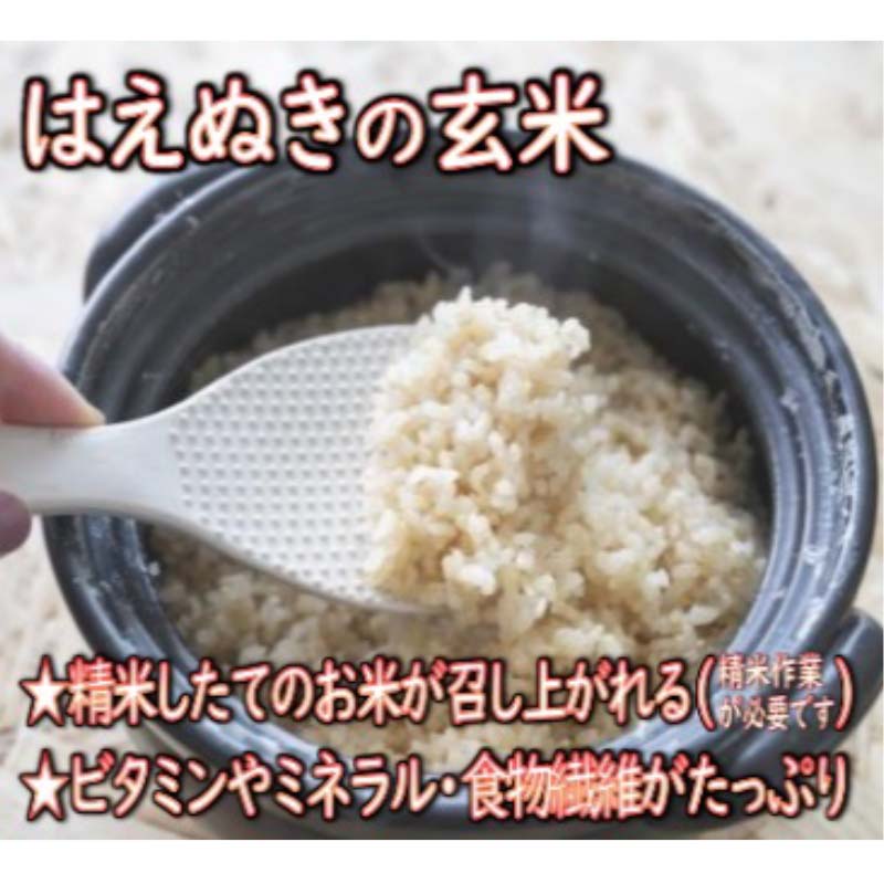 【ふるさと納税】 【令和7年産】 山形県産 はえぬき 玄米 5kg 米 コメ こめ F3S-2548