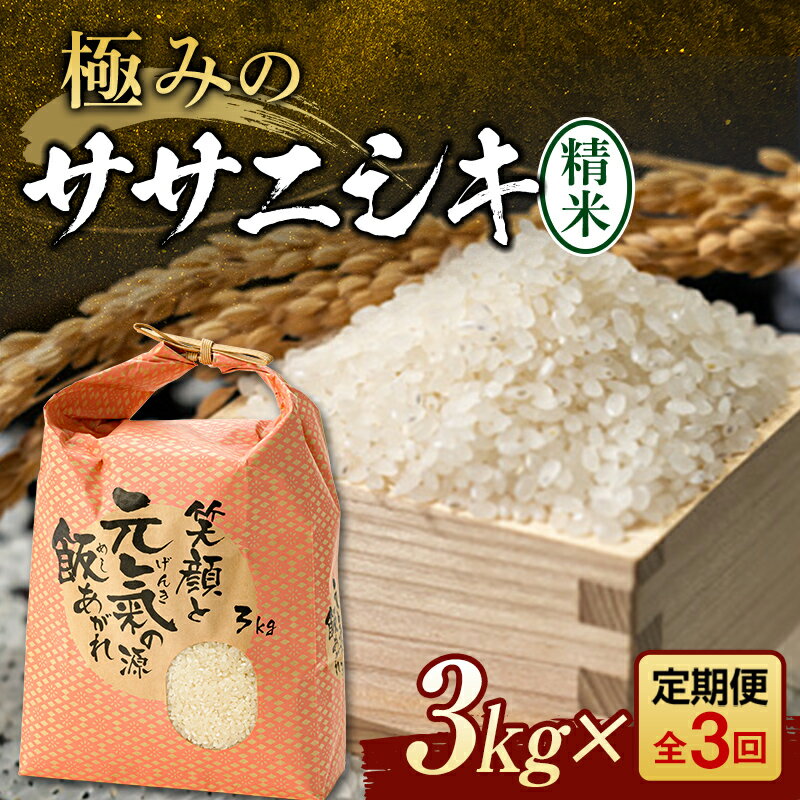 定期便 全3回 極みのササニシキ(精米)3kg 米 お米 おこめ ふるさと納税 山形県 新庄市