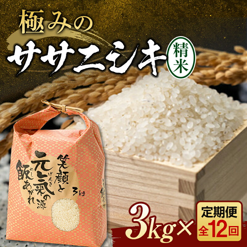 【ふるさと納税】 定期便 全12回 極みのササニシキ(精米)3kg 米 お米 おこめ ふるさと納税 山形県 新庄市 F3S-2389