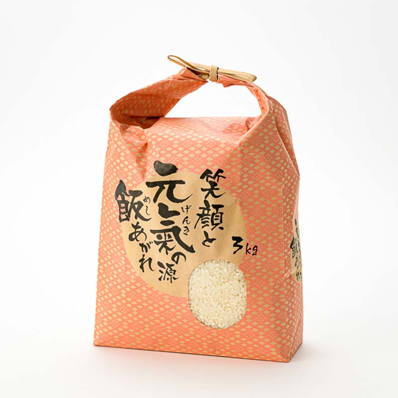 【ふるさと納税】 定期便 全3回 極みのはえぬき（精米）3kg 米 お米 おこめ ふるさと納税 山形県 新庄市 F3S-2390