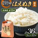 【ふるさと納税】 定期便 全12回 極みのはえぬき(精米)3kg 米 お米 おこめ ふるさと納税 山形県 新庄市 F3S-2392