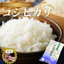 【ふるさと納税】 新庄産米 コシヒカリ 精米 5kg お米 コメ F3S-2404