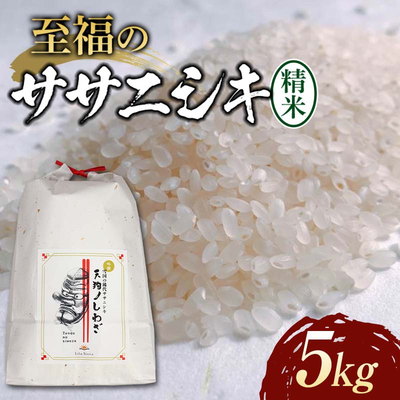 【ふるさと納税】 令和7年産 至福のササニシキ（精米）5kg×1袋 米 お米 おこめ 山形県 新庄市 F3S-2414