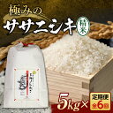 【ふるさと納税】 定期便 全6回 極みのササニシキ(精米)5kg×6回 米 お米 おこめ ふるさと納税 山形県 新庄市 F3S-2418