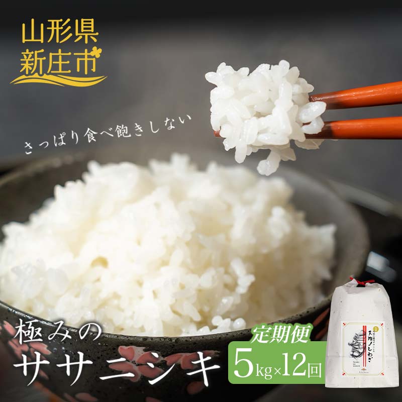 【ふるさと納税】 定期便 全12回 極みのササニシキ（精米）5kg 米 お米 おこめ ふるさと納税 山形県 新庄市 F3S-2424