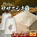 【ふるさと納税】 定期便 全3回 極みのササニシキ(精米)5kg×2 米 お米 おこめ ふるさと納税 山形県 新庄市 F3S-2425