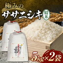 【ふるさと納税】 【先行予約】 令和7年産 極みのササニシキ(精米) 10kg(5kg×2) 米 お米 おこめ 山形県 新庄市 F3S-2429