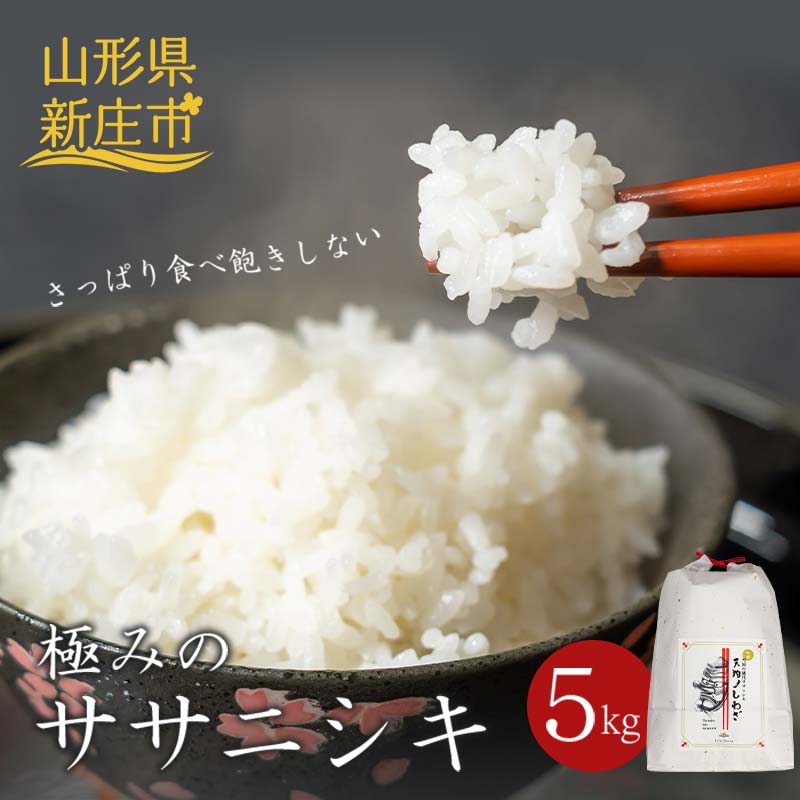 【ふるさと納税】 極みのササニシキ（精米） 5kg 米 お米 おこめ 山形県 新庄市 F3S-2431