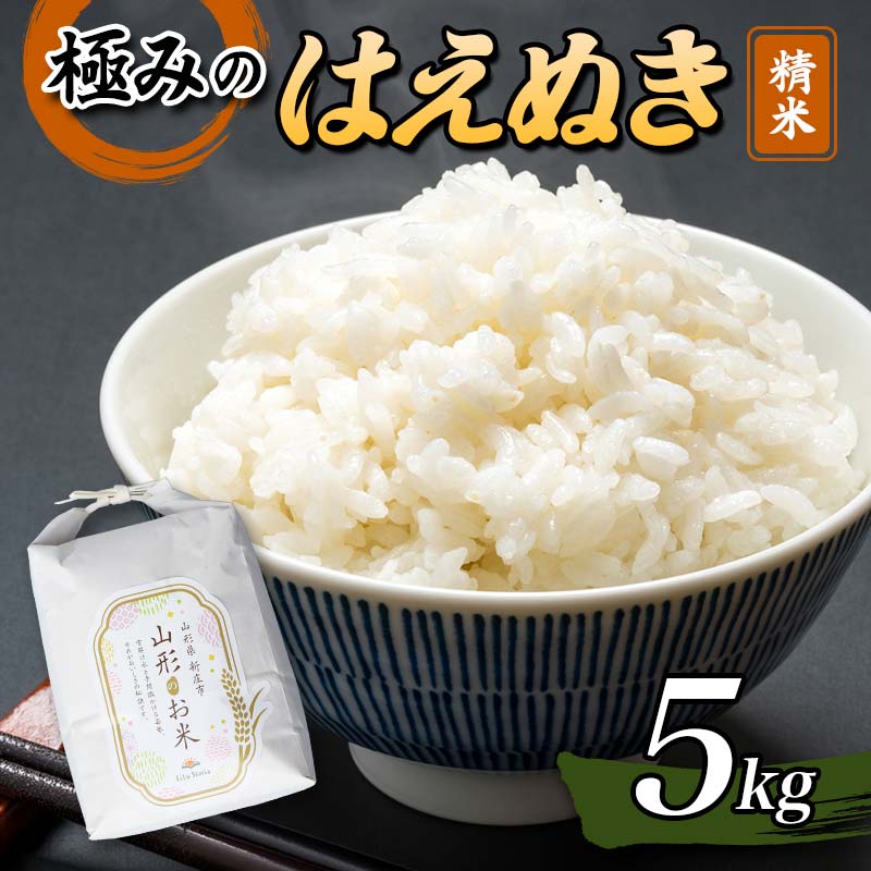 [先行予約] 令和7年産 極みのはえぬき5kg 米 お米 おこめ ふるさと納税 山形県 新庄市