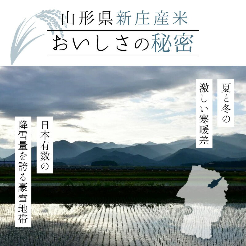 【ふるさと納税】【定期発送】米食味鑑定士厳選新庄産ミルキークイーン（精米）5kg【全3回】 米 定期便 ブランド米 銘柄米 山形県 新庄市 F3S-1301