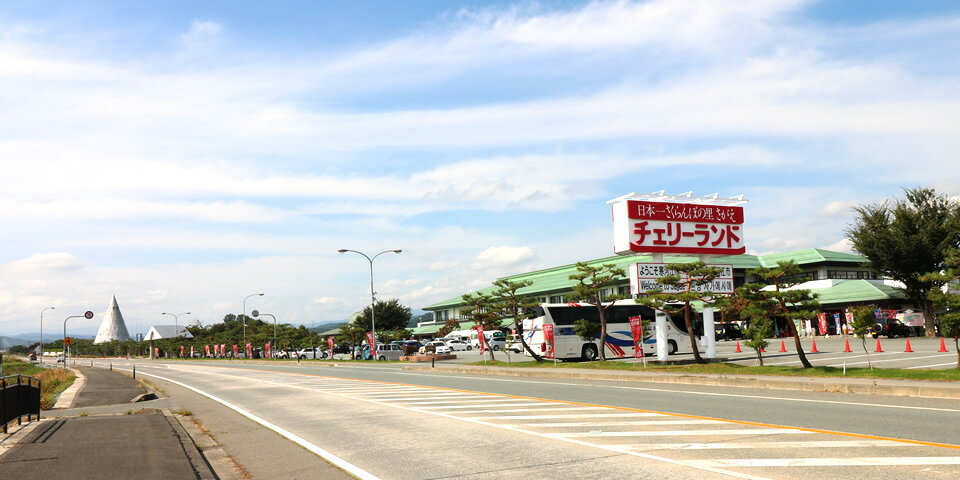 【ふるさと納税】【支援品】道の駅 1番 人気 ！ さくらんぼきらら ゼリー 36個（12個入×3箱）＜ 道の駅 チェリーランドさがえ 限定 パッケージ＞ （ お取り寄せ 土産 お菓子 ご当地 スイーツ 小分け 便利 東北 やまがた ）