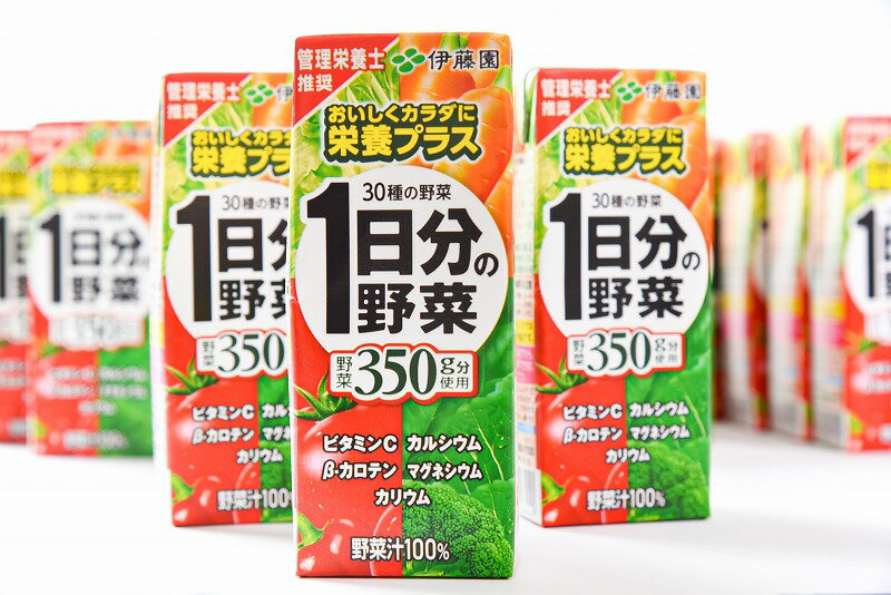 【ふるさと納税】伊藤園 1日分の野菜 200ml紙パック 48本 送料無料 24本×2箱 セット