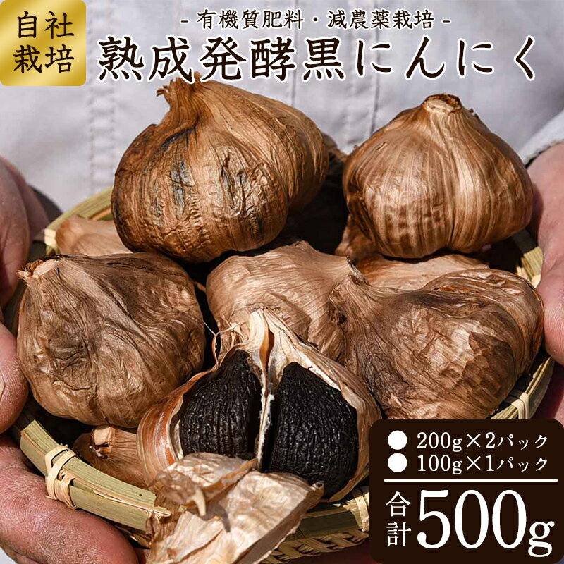 【ふるさと納税】こだわり農家の「 発酵熟成 黒にんにく 500g」 山形県産 ／ お取り寄せ ご当地 グル...