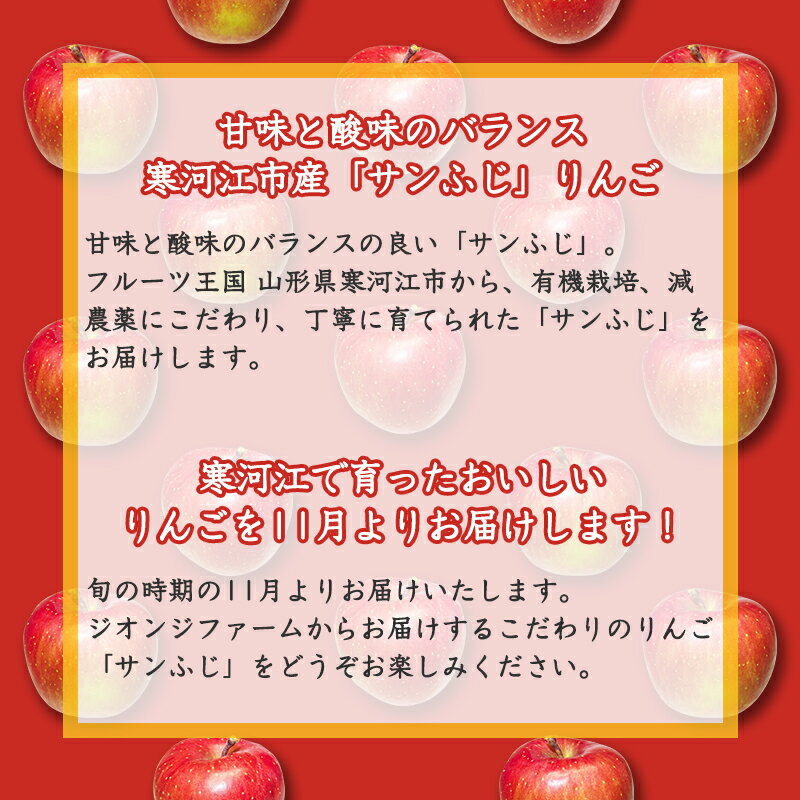 【ふるさと納税】こだわり農家の 有機質肥料栽培 りんご 5kg 秀品 「サンふじ」（12～20玉） 【2024年11月頃より順次発送予定】 ／ お取り寄せ ご当地 特産 産地直送 果物 フルーツ 新鮮 季節 林檎 デザート おやつ 2024年産 令和6年産 東北 山形県産 山形産 5キロ