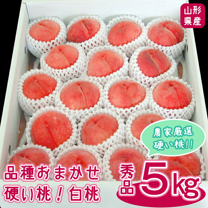 【ふるさと納税】山形の白桃 《硬い桃》 5kg 品種おまかせ (13〜20玉) 秀品 山形県産 【8月中旬頃～9月下旬頃発送予定】／ 果物 フルーツ 果実 産地直送 新鮮 贈答 ギフト プレゼント 季節 東北 お取り寄せ ご当地 特産 ピーチ 果汁 2024年産 令和6年産 5キロ 食感 ガリガリのサムネイル