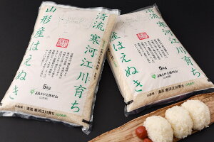 【ふるさと納税】計40kg!お米4か月定期便2019年産「清流寒河江川育ち山形産はえぬき」<選べる配送時期!10kg×4回>