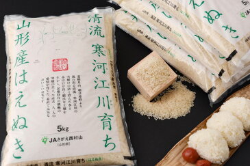 【ふるさと納税】令和3年産 たっぷり 60kg ！ はえぬき 新米 定期便 ！ 20kg ×3回 「清流寒河江川育ち 山形産 はえぬき」 ＜ 選べる 配送時期 ＞ 2021年産 今年秋 の 米 一等米 先行予約