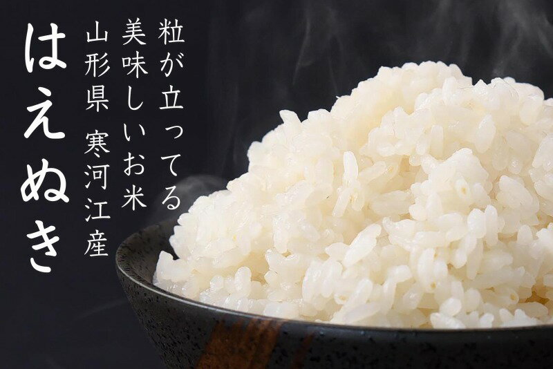 【ふるさと納税】計60kg！ 新米定期便（半年コース） 2020年（令和2年）産 「清流寒河江川育ち 山形産はえぬき」 ≪今年秋からお届け≫