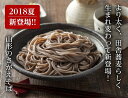 【ふるさと納税】卯月製麺の「山形のさがえそば」32人前