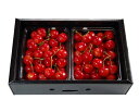 【ふるさと納税】大粒3Lサイズ! 紅秀峰 秀品 700g 山...