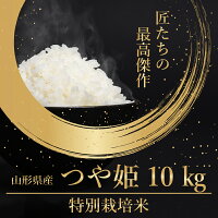 【ふるさと納税】【時期選べる】令和3年産 つや姫 10kg（ 5kg × 2袋 ）（ 新米 2021年産 お取り寄せ 山形県産 お米 精米 白米 弁当 ごはん ご飯 コメ おかず 和食 おにぎり 東北 米どころ 特別栽培米 単一原料米 ブランド米 ）