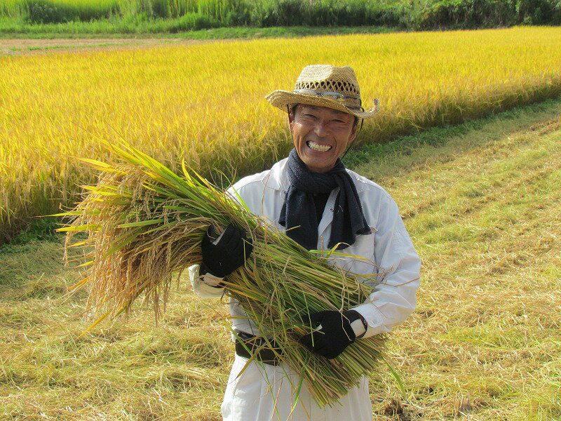 【ふるさと納税】 エコファーマー 認定農家 こだわりの「はえぬき」 10kg 山形県産 2019年産 【精米当日発送】 ≪ 特別栽培米相当 ≫