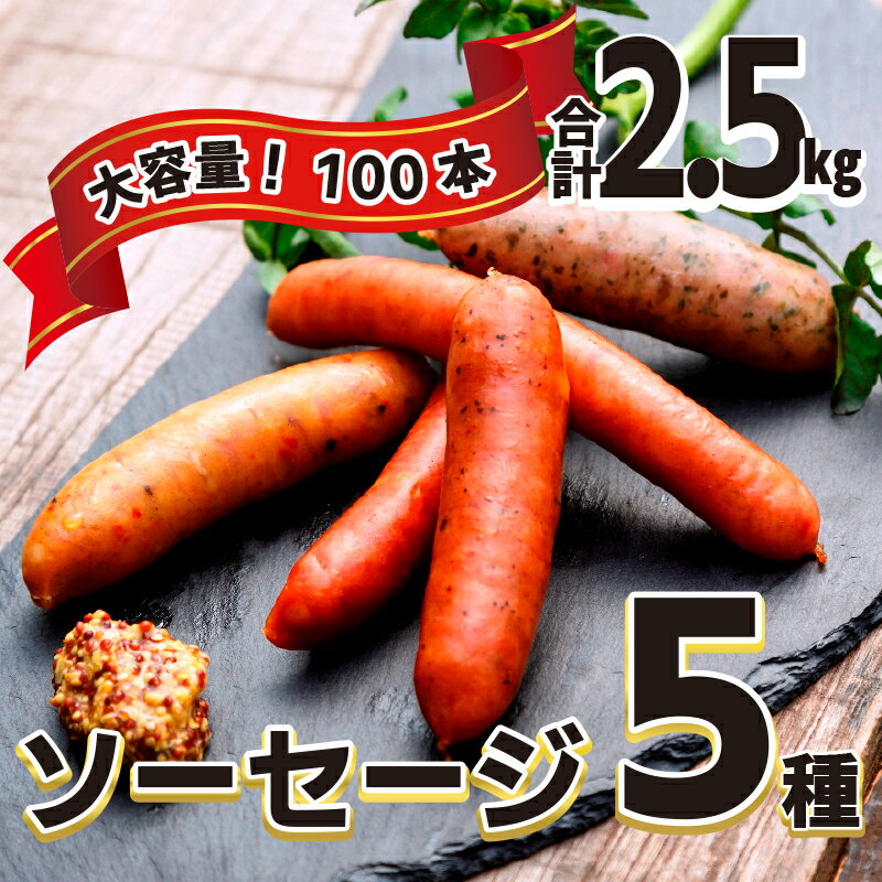 6800円 【人気急上昇】 ふるさと納税 佐賀市 ロング粗挽きウインナー ガスボー 5パック C-043 6800円 【人気急上昇】 ふるさと納税 佐賀市 ロング粗挽きウインナー ガスボー 5パック C-043