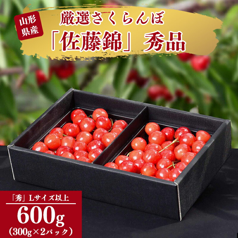 令和6年産 さくらんぼ 「 佐藤錦 」600g (300g×2パック) 秀品 Lサイズ以上 2024年産 山形県産 【2024年6月中旬頃～下旬頃発送予定】 ／ お取り寄せ フルーツ 果物 果実 ご当地 グルメ 特産 産地 直送 高級 贈答 東北 300グラム 600グラム