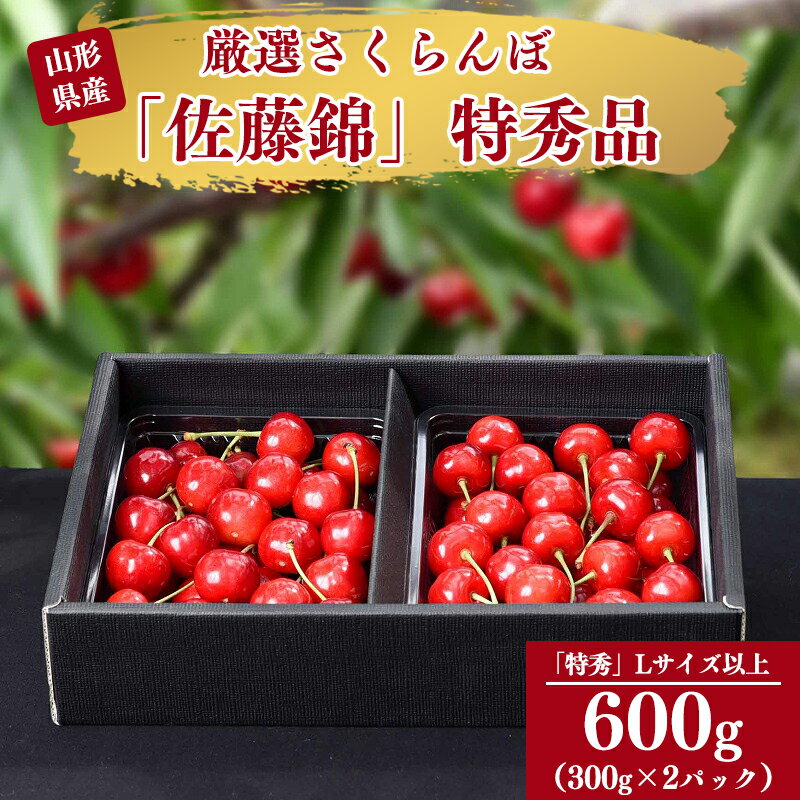 【ふるさと納税】令和6年産 特秀品 さくらんぼ「 佐藤錦 」600g (300g×2パック) Lサイズ以上 2024年産 山形県産 【2024年6月中旬頃～下旬頃発送予定】 ／ お取り寄せ フルーツ 果物 果実 ご当地 グルメ 特産 産地 直送 高級 贈答 東北 300グラム 600グラム