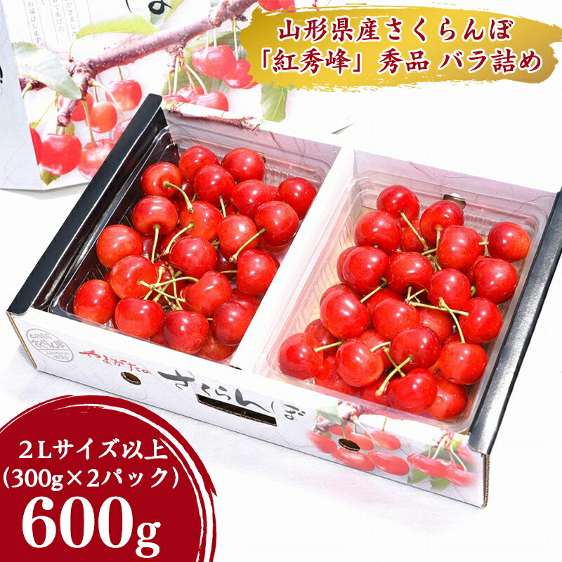 【ふるさと納税】 令和6年産 さくらんぼ 「 紅秀峰 」600g(300g×2パック) 秀品 2L以上 2024年産 山形...