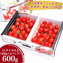  令和6年産 さくらんぼ 「 紅秀峰 」600g(300g×2パック) 秀品 2L以上 2024年産 山形県産  ／ お取り寄せ フルーツ 果物 果実 ご当地 グルメ 特産 産地 直送 高級 贈答 東北 300グラム 600グラム