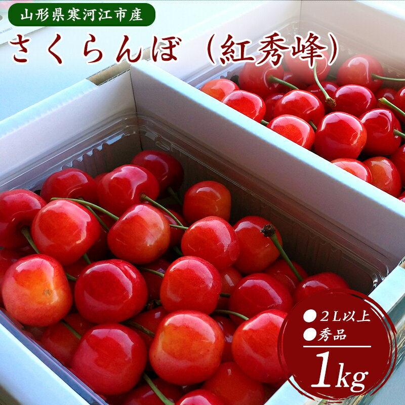 【ふるさと納税】 さくらんぼ「 紅秀峰 」1kg 秀品 2Lサイズ以上 （500g×2）【2024年6月下旬頃〜7月上...