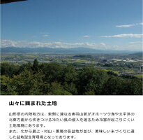 【ふるさと納税】計40kg!お米4か月定期便2019年産「清流寒河江川育ち山形産はえぬき」<選べる配送時期!10kg×4回>