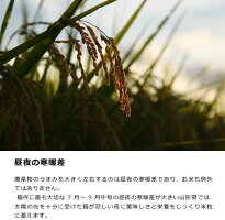 【ふるさと納税】計40kg!お米4か月定期便2019年産「清流寒河江川育ち山形産はえぬき」<選べる配送時期!10kg×4回>