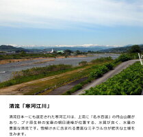 【ふるさと納税】計40kg!お米4か月定期便2019年産「清流寒河江川育ち山形産はえぬき」<選べる配送時期!10kg×4回>