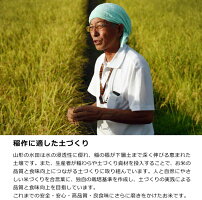 【ふるさと納税】計40kg!お米4か月定期便2019年産「清流寒河江川育ち山形産はえぬき」<選べる配送時期!10kg×4回>