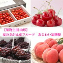 【ふるさと納税】 【果物王国 山形】 夏のさがえ産フルーツ ...