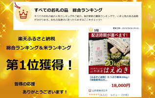 【ふるさと納税】平成30年産新米20kg「清流寒河江川育ち山形産はえぬき」