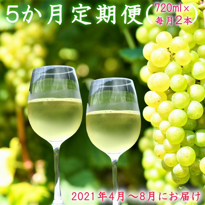 寒河江ワイン シャルドネ 白/辛口 5か月定期便 720ml×2本×5か月（4月～8月）