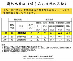 【ふるさと納税】2020年産たっぷり新米20kg!「清流寒河江川育ち山形産はえぬき」<来年秋配送>令和2年産米