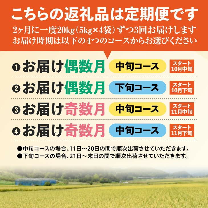 【ふるさと納税】【先行予約】新米 ふるさと納税 米 定期便 令和4年産 はえぬき 計60kg (20kg(5kg×4袋)×3回) 元祖 山形県産( お取り寄せ 特産 お米 精米 白米 小分け 便利 弁当 ごはん ご飯 コメ おかず おにぎり 東北 米どころ 単一原料米 ブランド米 清流 寒河江川 )