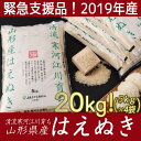 【ふるさと納税】【緊急支援品】2019年産 たっぷり20kg...