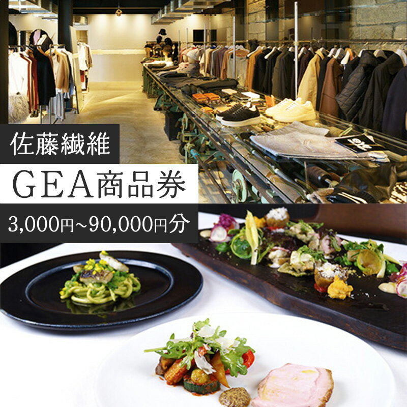 【ふるさと納税】佐藤繊維 セレクトショップ GEA 商品券 